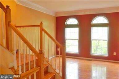 Building Photo - 13599 Flying Squirrel Dr