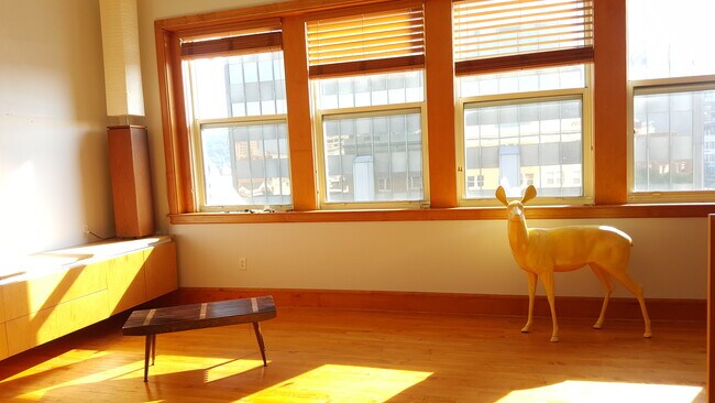 Building Photo - 59 College St