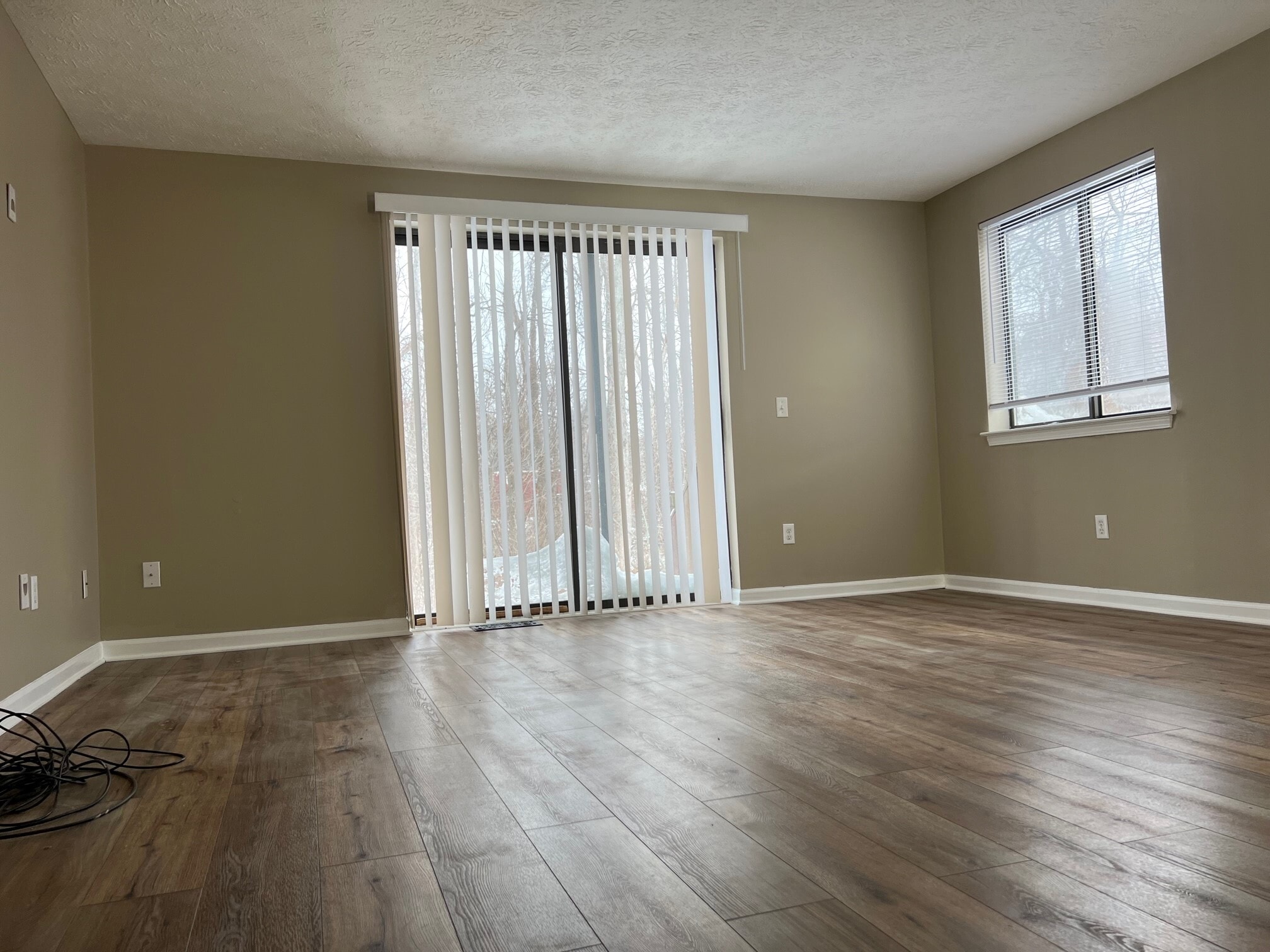 Living room - 339 Willowbrooke Dr