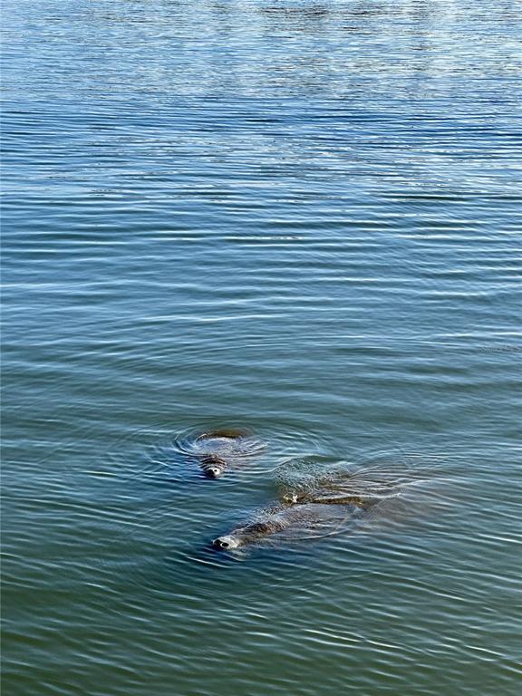 Building Photo - 19029 US Hwy 19 N