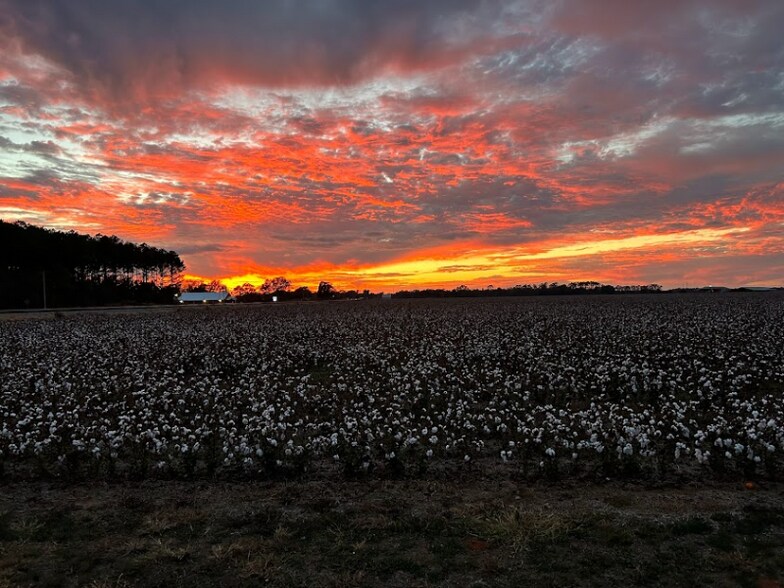 Building Photo - 42 Chapman Rd