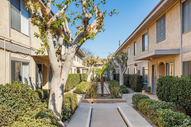 Courtyard - Lido Apartments - 241 Avocado St