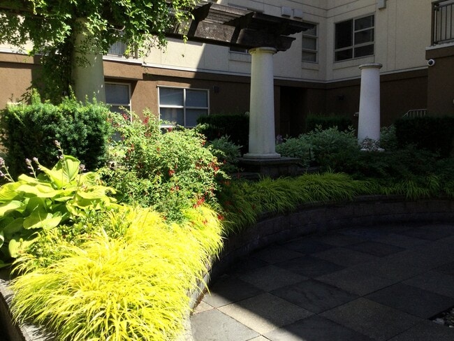 Building Photo - Beautiful Studio in Downtown Bellevue!