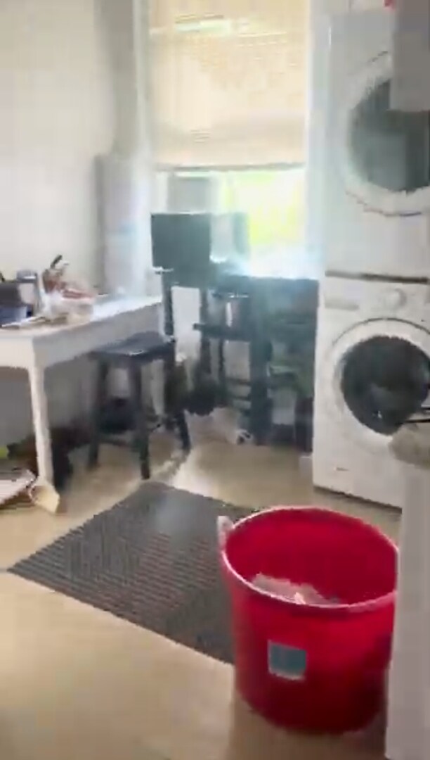 Building Photo - Allston Green Line Unit with Washer/Dryer,...