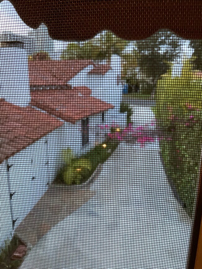 Upstairs bedroom view - 10610 Wellworth Ave