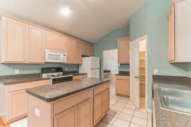Building Photo - 519 Mesquite Dr