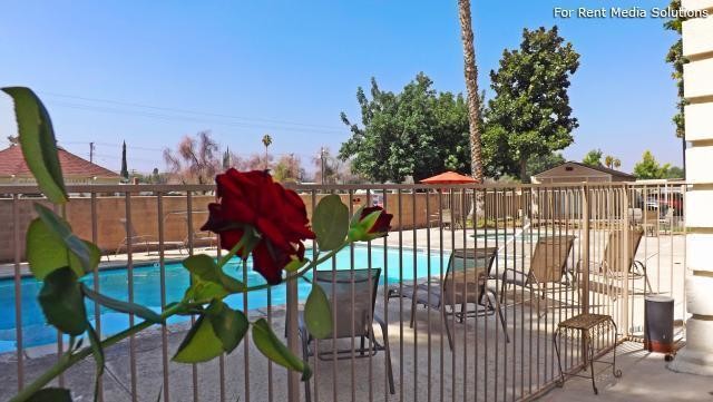 Mountain View Mansion Pool - Mountain View Mansion