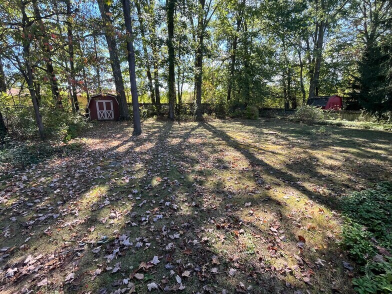 Backyard - 244 Natale Dr