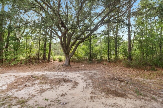 Building Photo - 11517 Acorn Dr
