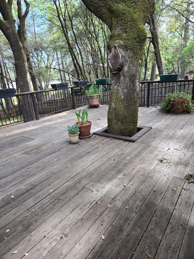 Building Photo - Spacious 4-Bedroom Home on Desirable Hillcrest Blvd in Colfax