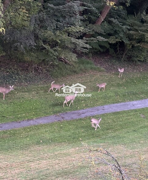 Building Photo - 5675 Harpers Farm Rd