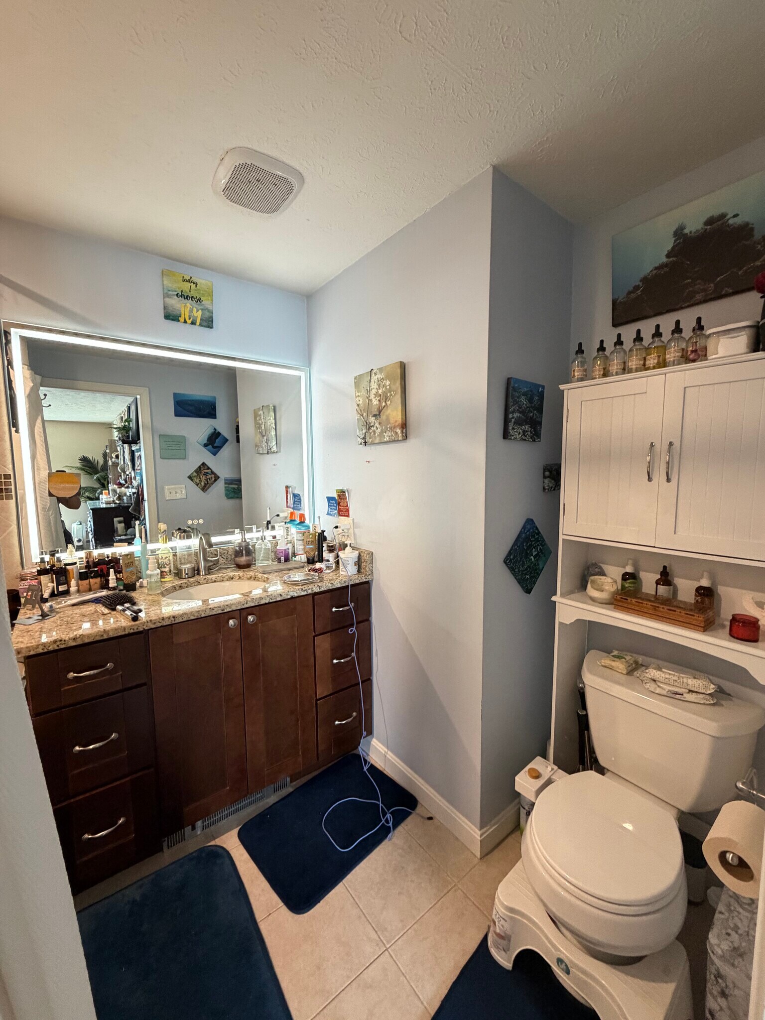 Master bathroom - 207 Pasture Dr