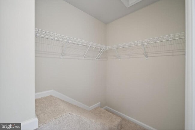Building Photo - 103 Brashear Ct