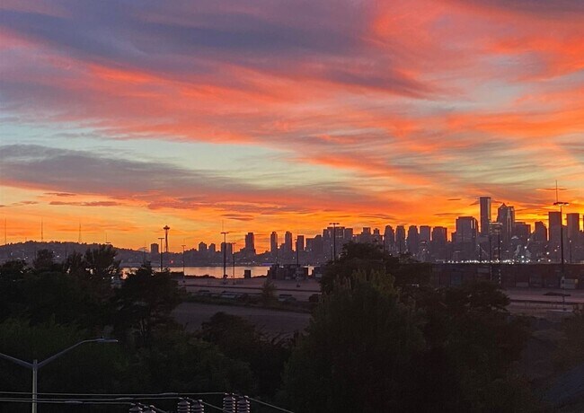 View from rooftop terrace - 3213 Harbor Ave SW