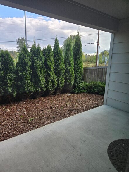Backyard - 17905 35th Ave SE