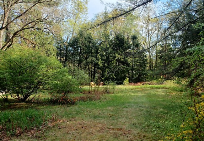 Building Photo - 323 Pelham Rd