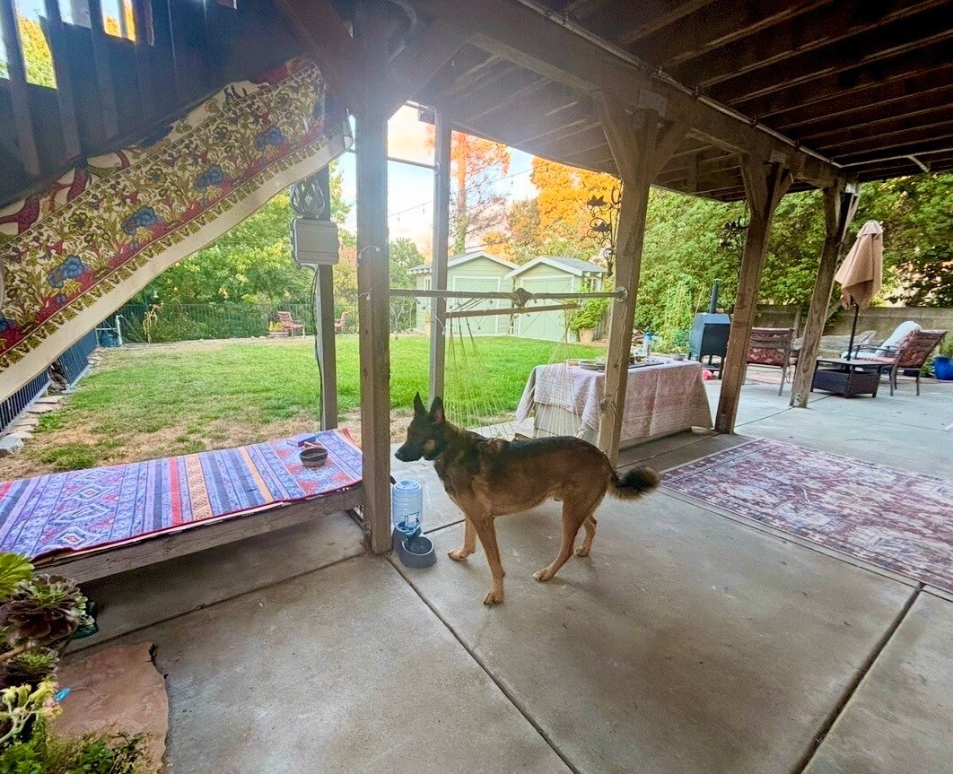tranquil patio with security guard - 4460 Stanford Ave