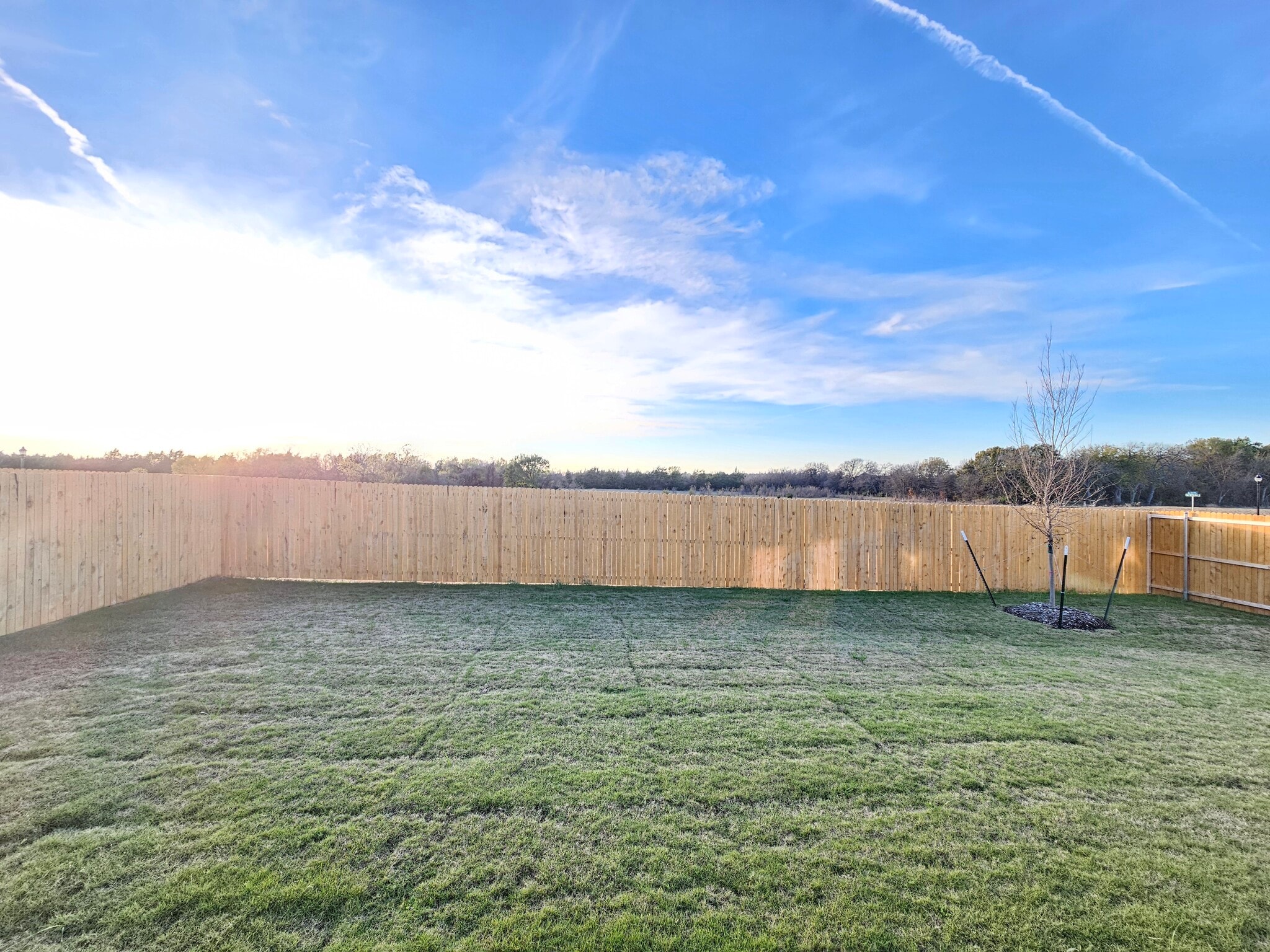 Large Backyard - View 2 - 302 Asterwood Ln