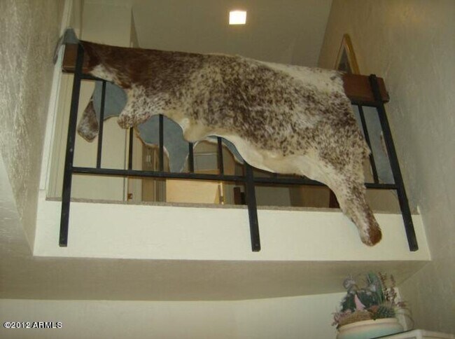 Building Photo - Resort Living at Scottsdale Road and Lincoln next to the Borgata!!  Minutes to Kierland and Old T...