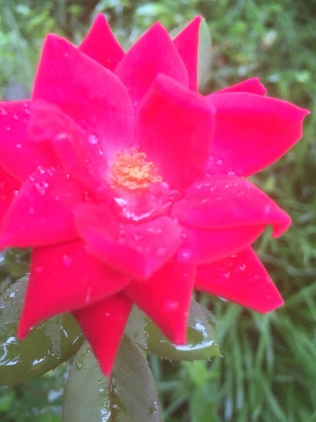 Building Photo - 49 Duke St