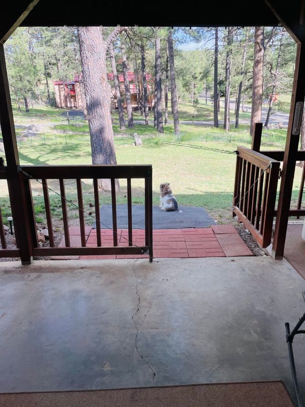 Building Photo - 213 White Mountain Meadows Dr