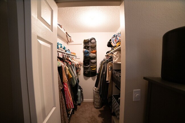 Building Photo - 341 Wright St