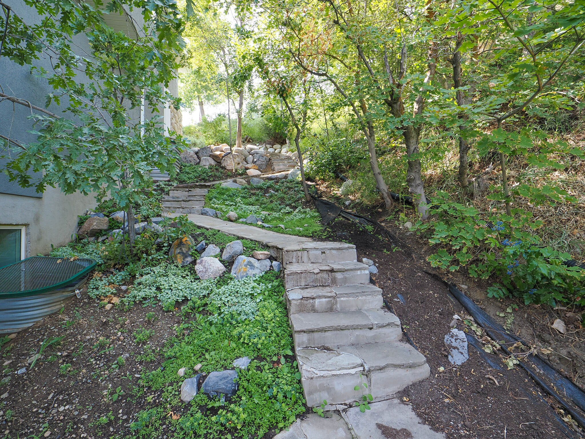 Building Photo - 2368 Maple Hills Dr