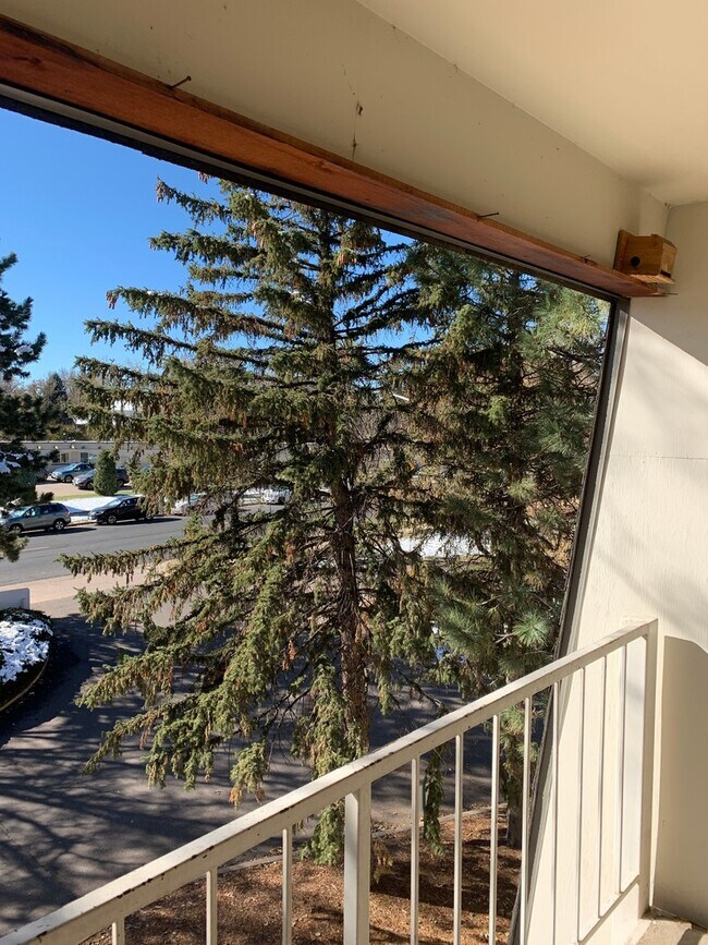 Building Photo - Top Floor Condo in Southeast Denver 2 bed ...
