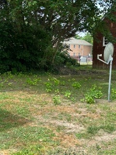 back yard - 8 4th St