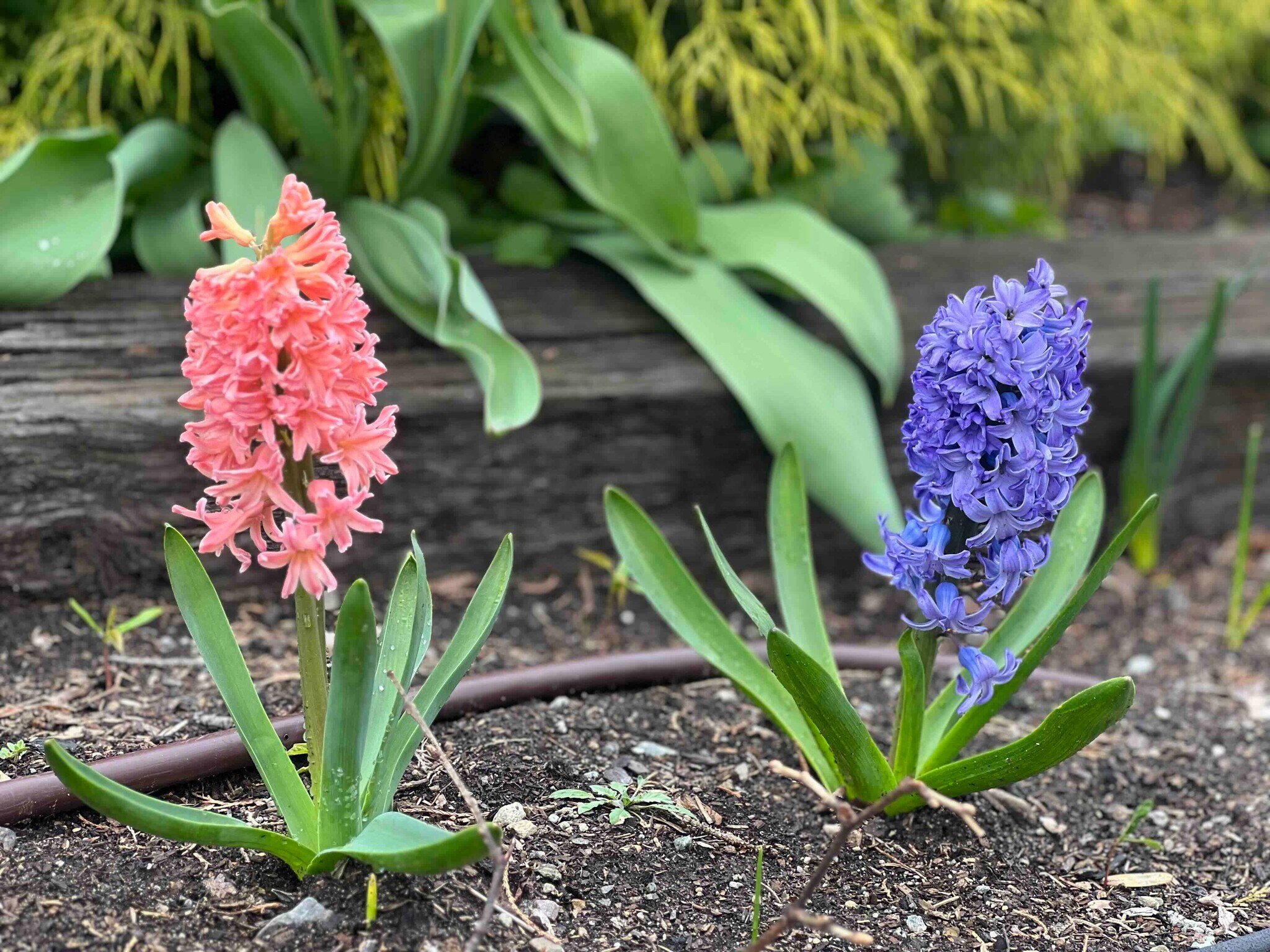 Building Photo - 61 Wollaston Ave