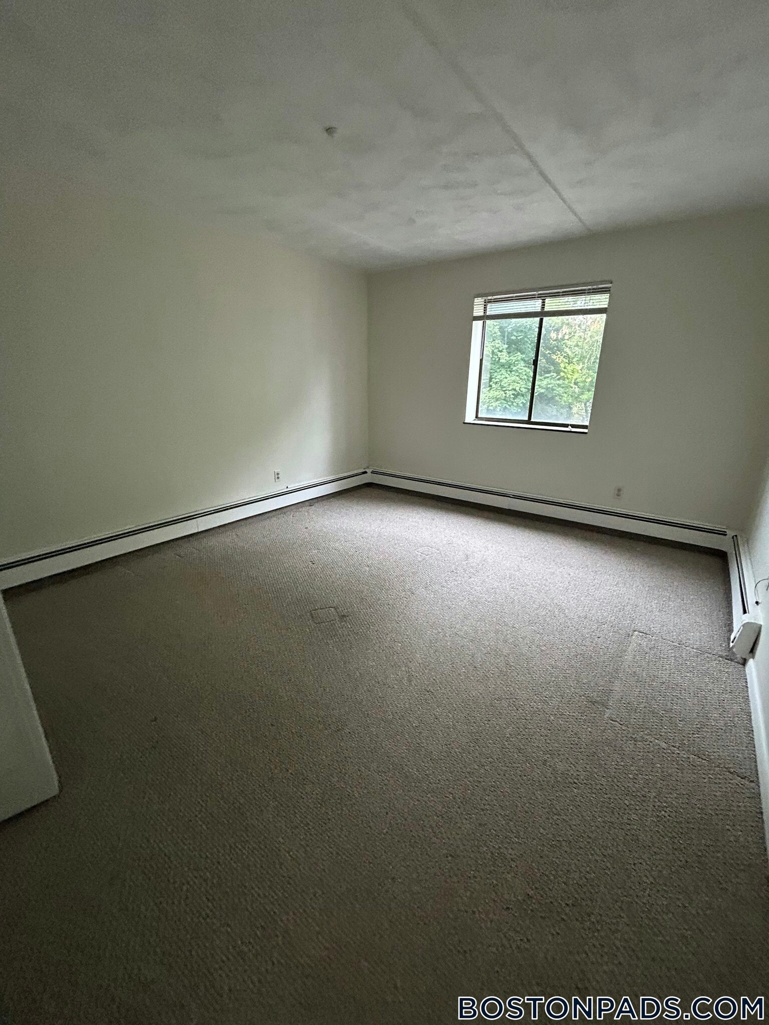 Building Photo - 175 Adams St