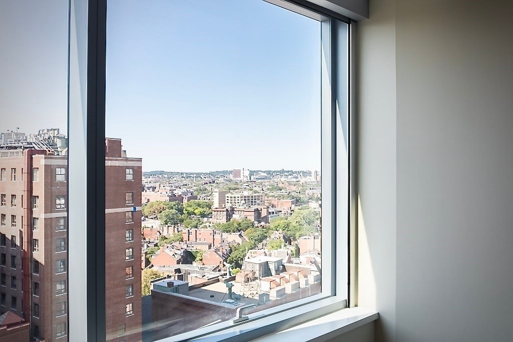 View From Bedroom 1 - 110 Stuart St