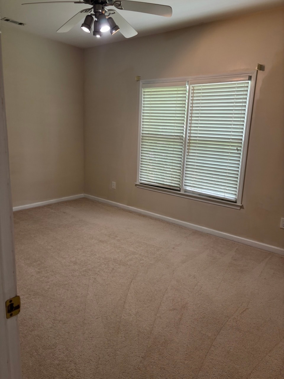 Building Photo - 217 Palette Ln