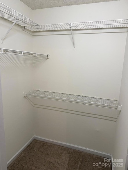 Building Photo - 12800 Levins Hall Rd