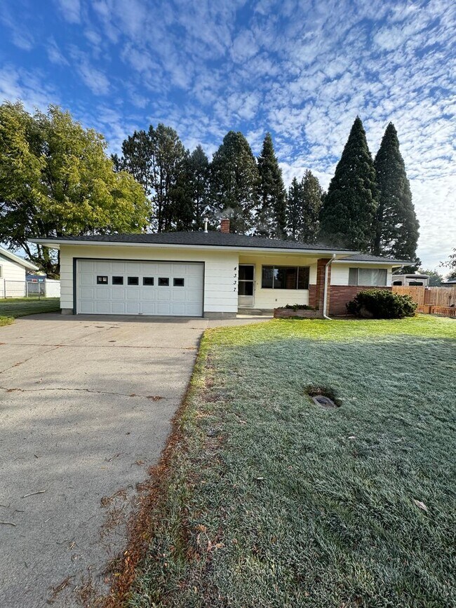 Building Photo - 4337 Lombard Dr