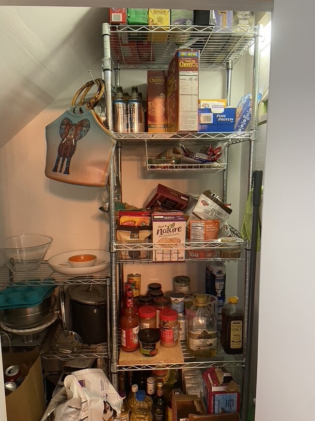 Under stairs pantry/storage - 105 Sugar Tree Ln