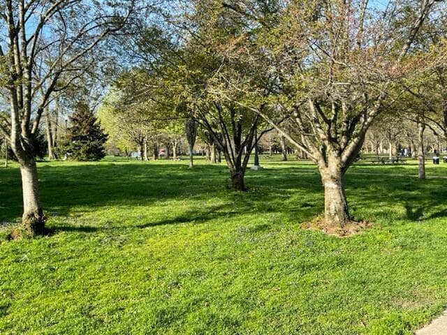 Building Photo - 172 Reinhard Ave