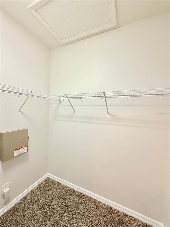 Building Photo - 956 Sombra St