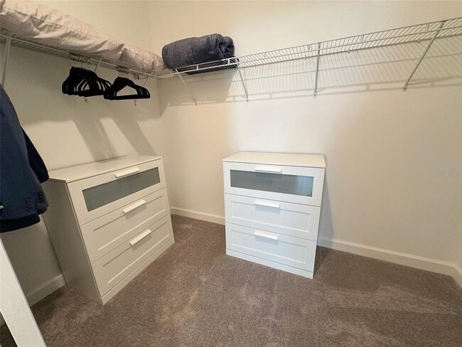 Building Photo - 17216 Mango Shay Ct