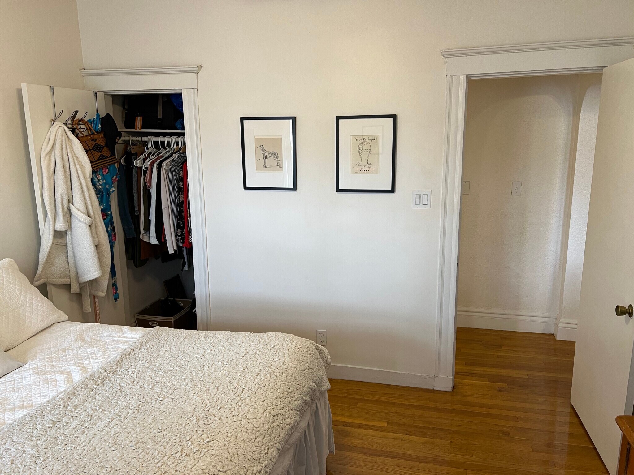 Building Photo - 1750 Commonwealth Ave