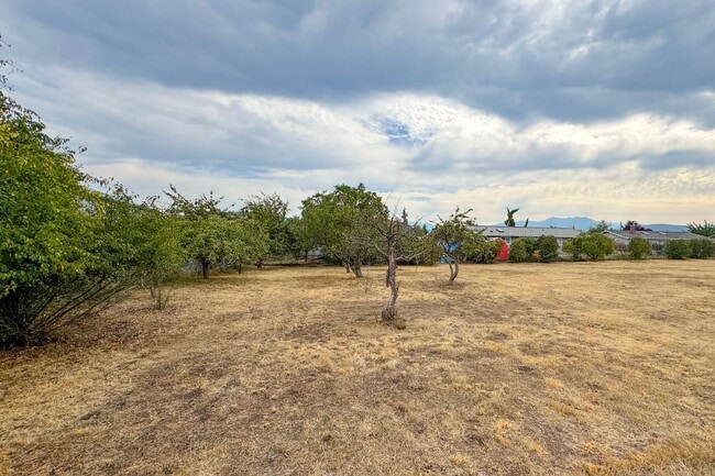Building Photo - Large Home on Large Lot in Sequim