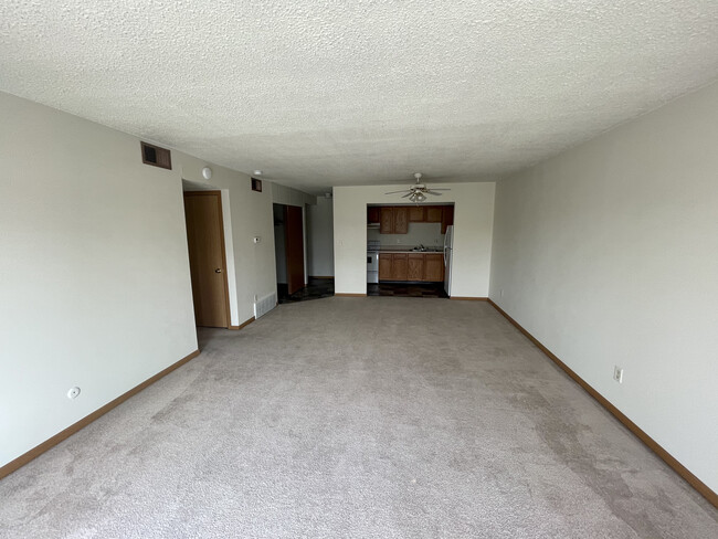 Apt 209 Living Room - 205 Spruce St