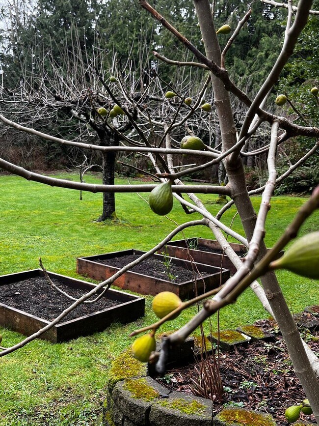 Building Photo - Well Maintained, Cozy, Furnished, Hansville Home on 3/4 Acre Lot!