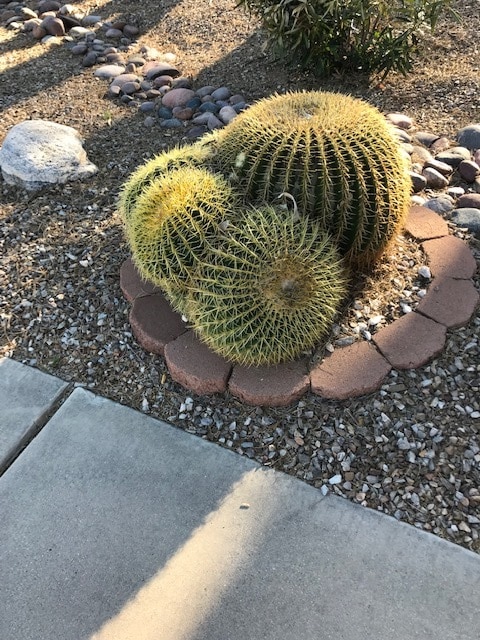 Building Photo - 1301 N Mourning Dove Rd