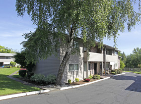 Building Photo - Ivy Terrace Apartments