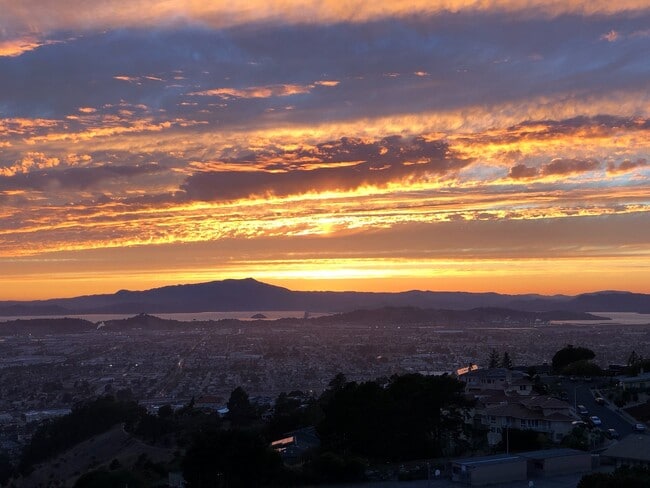 Building Photo - Lovely 3/2 home in the hills of El Cerrito with breathtaking views of the bay!