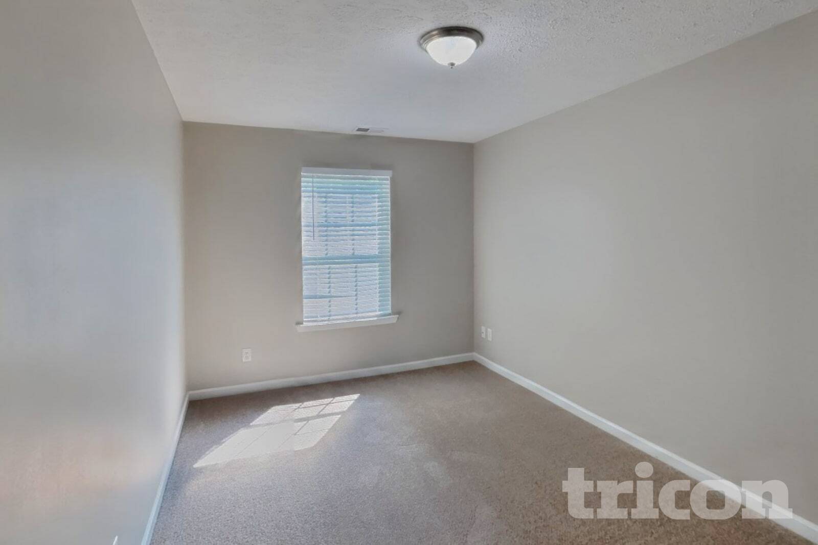 Building Photo - 501 Homey Dr