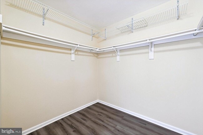Building Photo - 8805 Bolero Ct