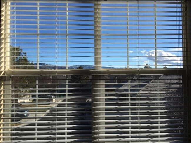 Building Photo - South Reno Home