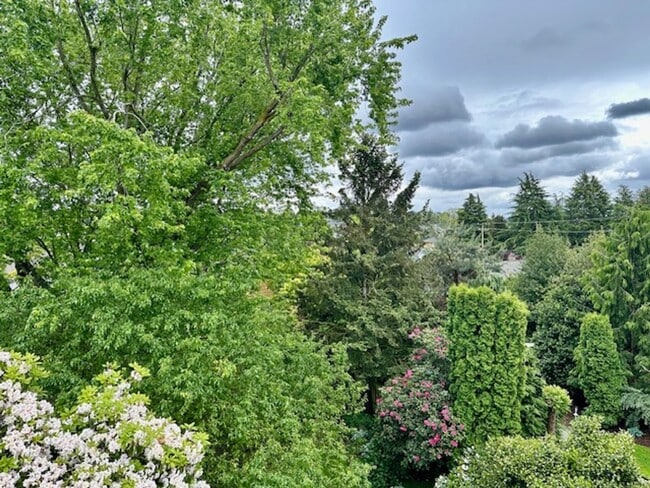 Building Photo - Spacious 4 Bedroom Home Minutes from Green...